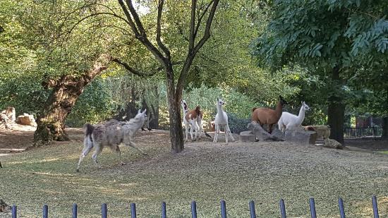 Warszawas djurpark